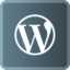 Wordpress Development Logo