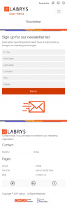 Labrys Consulting Newsletter Mobile Page Screenshot